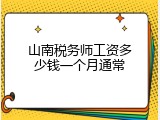 山南税务师工资多少钱一个月通常
