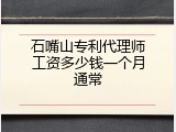 石嘴山专利代理师工资多少钱一个月通常