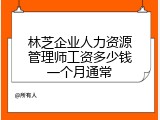 林芝企业人力资源管理师工资多少钱一个月通常