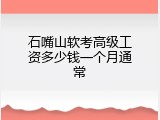 石嘴山软考高级工资多少钱一个月通常