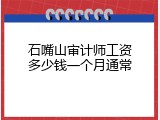 石嘴山审计师工资多少钱一个月通常