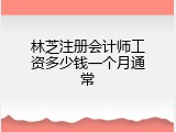 林芝注册会计师工资多少钱一个月通常