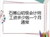 石嘴山初级会计师工资多少钱一个月通常