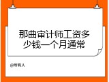 那曲审计师工资多少钱一个月通常
