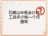 石嘴山中级会计师工资多少钱一个月通常