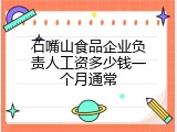 石嘴山食品企业负责人工资多少钱一个月通常