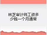 林芝审计师工资多少钱一个月通常