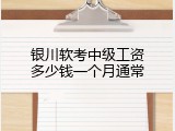 银川软考中级工资多少钱一个月通常