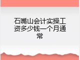 石嘴山会计实操工资多少钱一个月通常