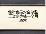 儋州食品安全总监工资多少钱一个月通常