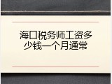 海口税务师工资多少钱一个月通常