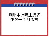 潮州审计师工资多少钱一个月通常