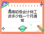 海南初级会计师工资多少钱一个月通常