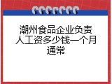 潮州食品企业负责人工资多少钱一个月通常