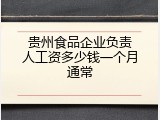 贵州食品企业负责人工资多少钱一个月通常