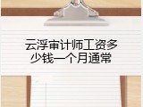云浮审计师工资多少钱一个月通常