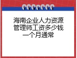 海南企业人力资源管理师工资多少钱一个月通常