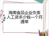 海南食品企业负责人工资多少钱一个月通常