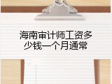 海南审计师工资多少钱一个月通常