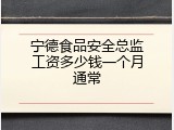 宁德食品安全总监工资多少钱一个月通常