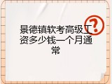 景德镇软考高级工资多少钱一个月通常
