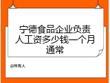 宁德食品企业负责人工资多少钱一个月通常