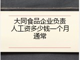 大同食品企业负责人工资多少钱一个月通常