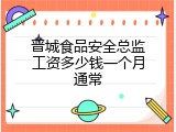 晋城食品安全总监工资多少钱一个月通常