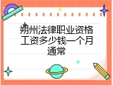 朔州法律职业资格工资多少钱一个月通常