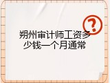 朔州审计师工资多少钱一个月通常