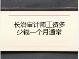 长治审计师工资多少钱一个月通常