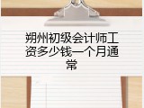 朔州初级会计师工资多少钱一个月通常