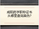 咸阳药学职称证书从哪里查询真伪？