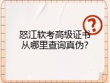 怒江软考高级证书从哪里查询真伪？