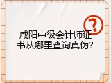 咸阳中级会计师证书从哪里查询真伪？
