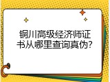 铜川高级经济师证书从哪里查询真伪？