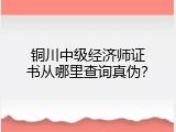 铜川中级经济师证书从哪里查询真伪？