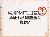 铜川PMP项目管理师证书从哪里查询真伪？