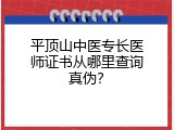 平顶山中医专长医师证书从哪里查询真伪？