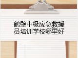 鹤壁中级应急救援员培训学校哪里好