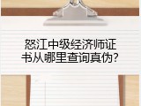怒江中级经济师证书从哪里查询真伪？
