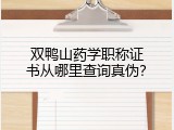 双鸭山药学职称证书从哪里查询真伪？
