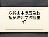 双鸭山中级应急救援员培训学校哪里好