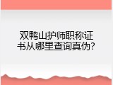 双鸭山护师职称证书从哪里查询真伪？