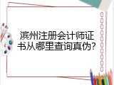 滨州注册会计师证书从哪里查询真伪？