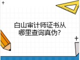 白山审计师证书从哪里查询真伪？