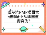 哈尔滨PMP项目管理师证书从哪里查询真伪？