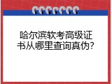 哈尔滨软考高级证书从哪里查询真伪？