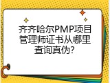 齐齐哈尔PMP项目管理师证书从哪里查询真伪？