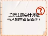 辽源注册会计师证书从哪里查询真伪？